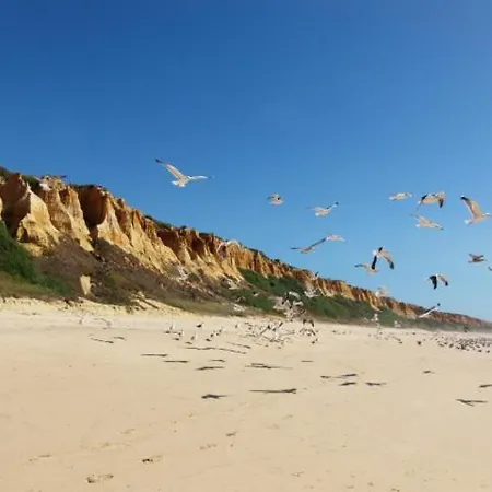 Casa Do Ourives - Renewed Holiday home *