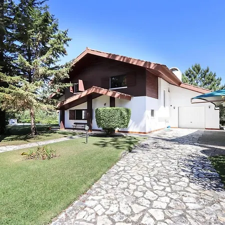 펜션 Casa Do Ourives - Renewed 차르네카