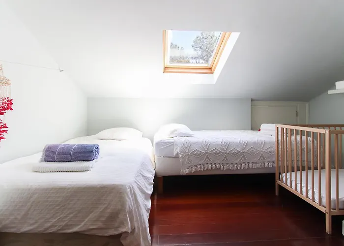 Casa Do Ourives - Renewed 沙尔内卡