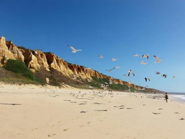 Casa Do Ourives - Renewed Tatil Evi *